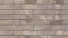 Nueva® 75 Wall product from Brampton Brick in Champagne